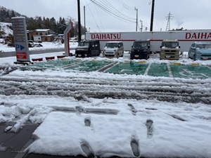 冬が来ました⛄